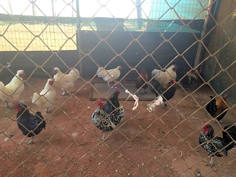 The Cradle Berry Farm