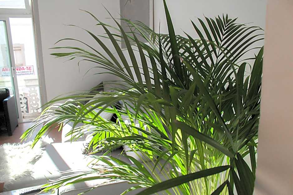 Atelier 3 - Boutique Rooms