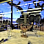 Hôtel Restaurant Cave Bel-Air