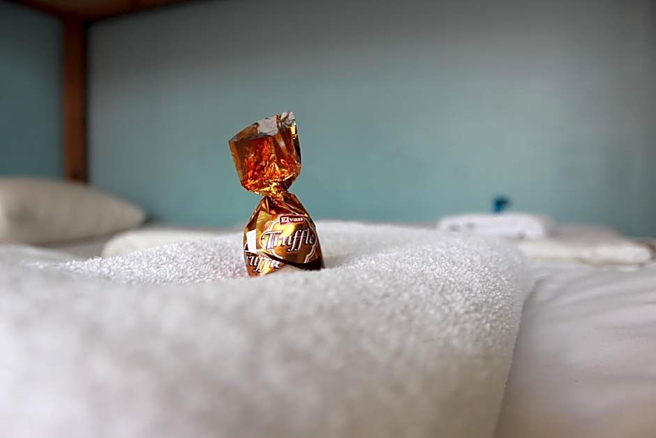 Viru Backpackers Hostel