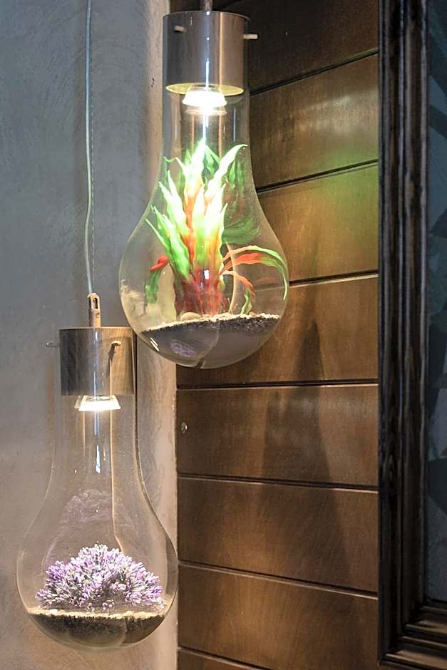 Elixir Del Mar on the Beach