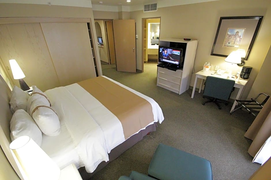 Holiday Inn Leon-Convention Center By IHG