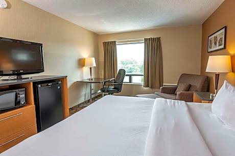 Ground Floor Room with 1 Queen Bed and Sofabed - No Smoking