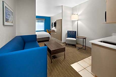 Suite King Bed Non Smoking