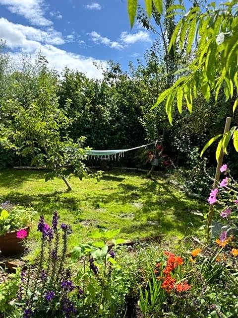 Rosa's zonnige huisje bij duinen bos en strand