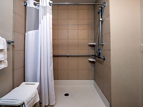 1 King  Mobil Access Roll in Shower