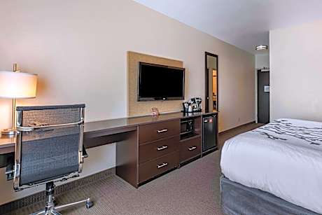 1 King Bed Nonsmoking Accessible