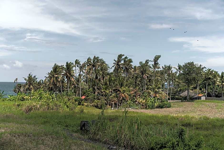 Dune Seseh