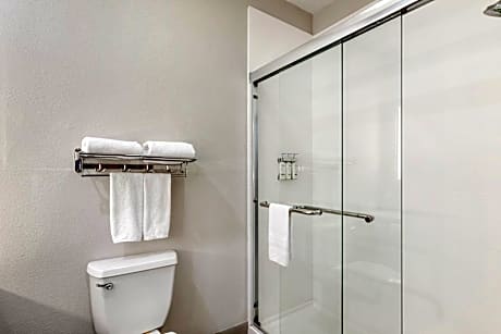 1 King Standard Mobil Access Tran Shwr