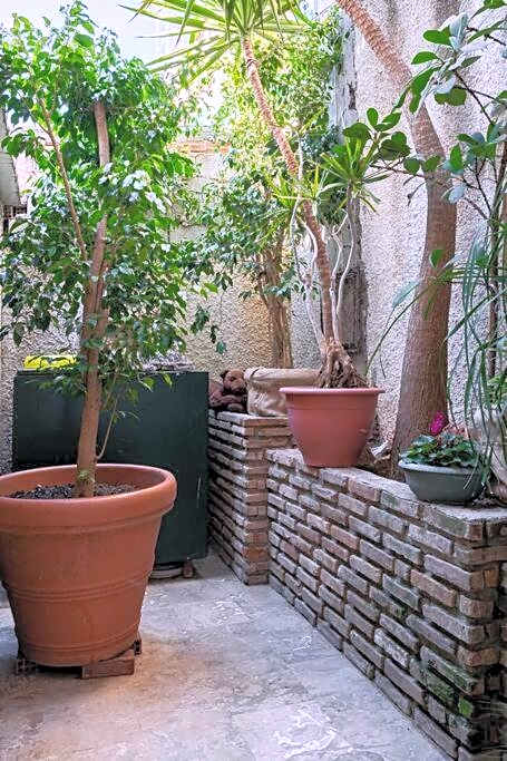 Μεζονέτα στο κύμα