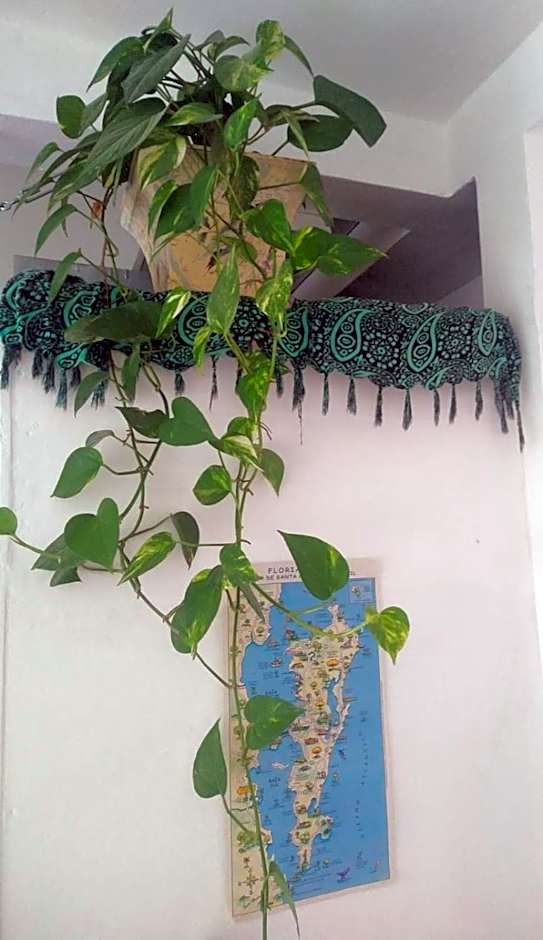 Pousada Beach Eco House Floripa