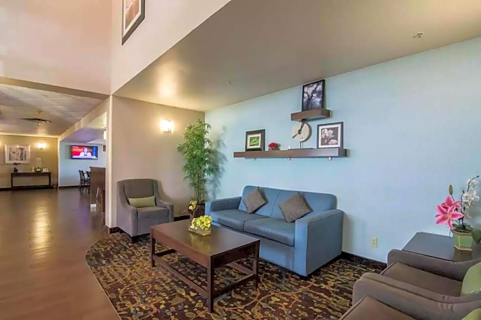 Comfort Inn And Suites South