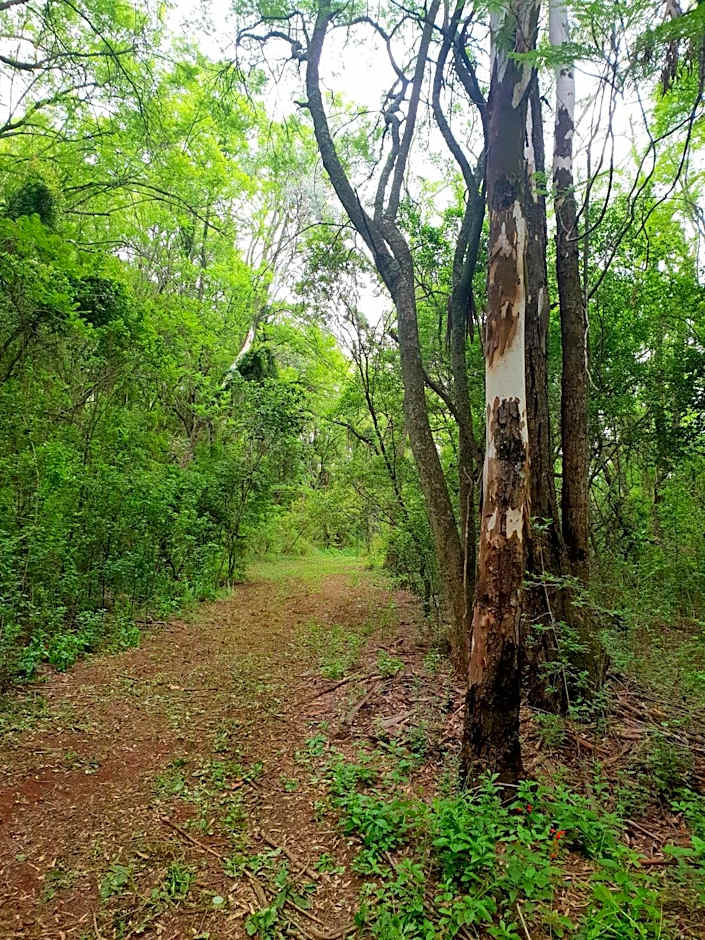 Haggards on Hilldrop