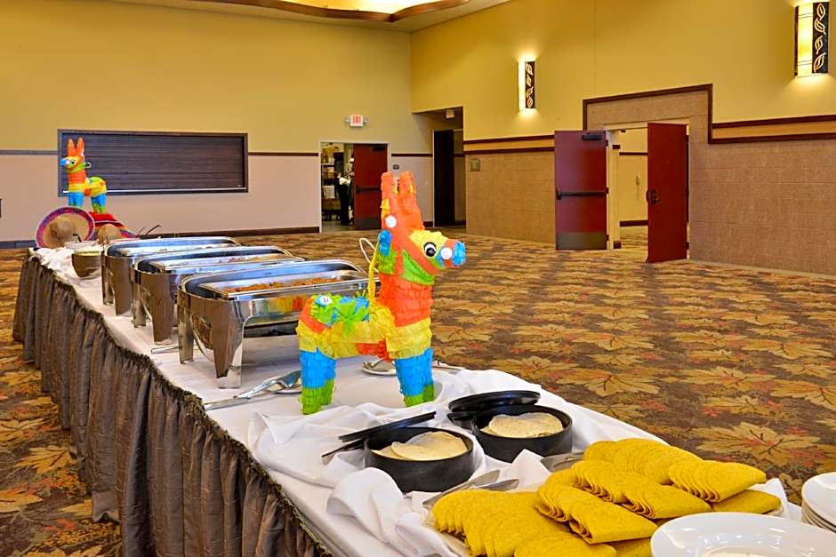 Holiday Inn Stevens Point - Convention Center By IHG