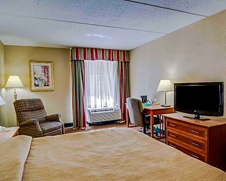 King Room - Non-Smoking
