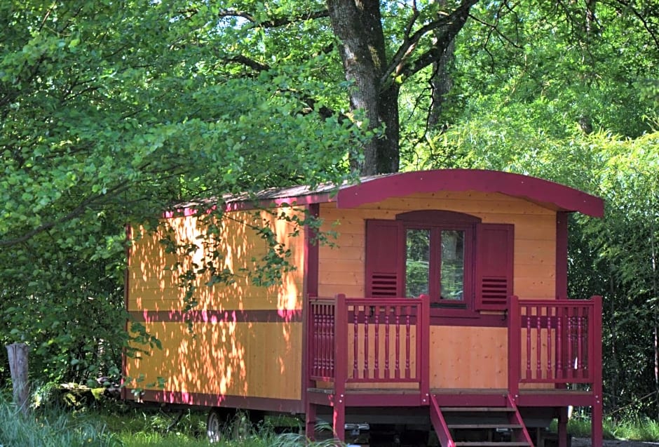 Le camp du fauconnier