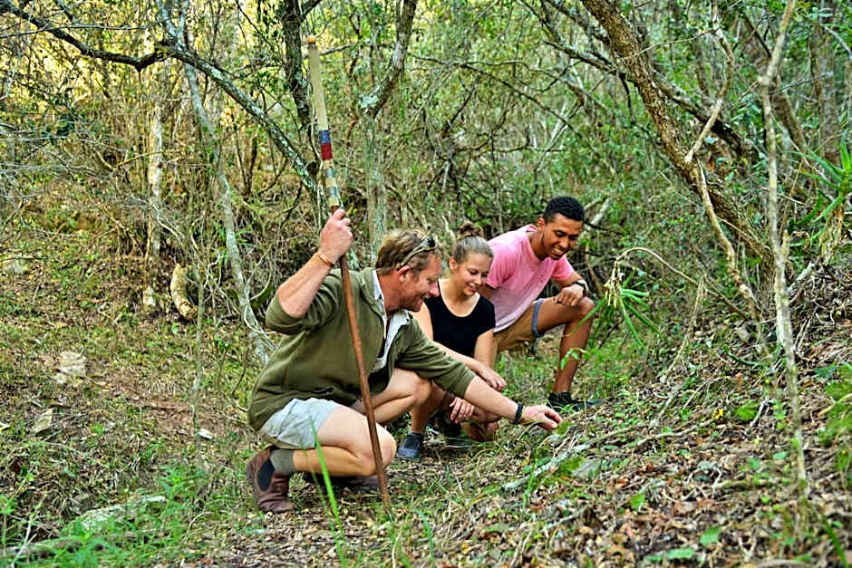 Sibuya Game Reserve and Lodge