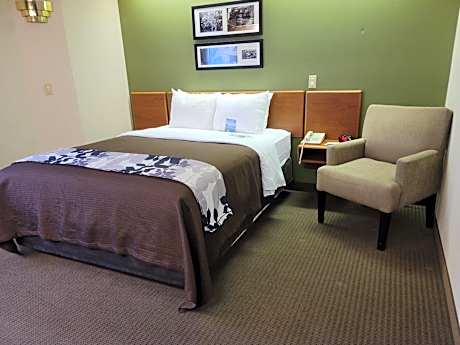 Queen Room with Roll-In Shower - Accessible/Non-Smoking