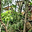 Hidden Valley Backpackers