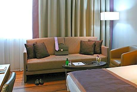 1 King Standard City View Sofa Bed