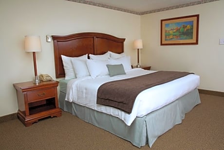 ROOM, DOUBLE BED