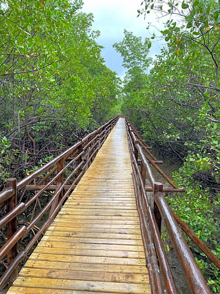 Chalés Solar do Patacho