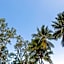 Kipara Tropical Rainforest Retreat
