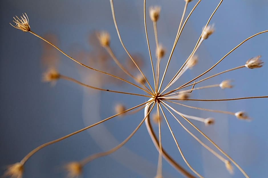 Hôtel Spa & Restaurant - Son de Mar