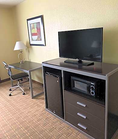 Suite-1 King Bed Non-Smoking Sofabed Kitchenette Refrigerator Full Breakfast