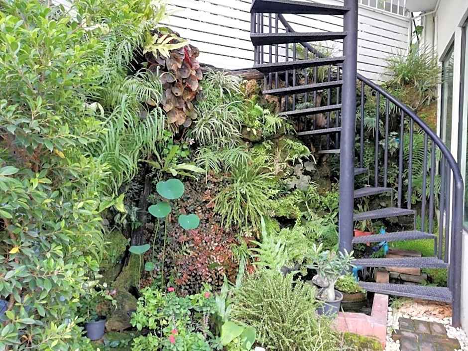 Double D Rooms & Cafe