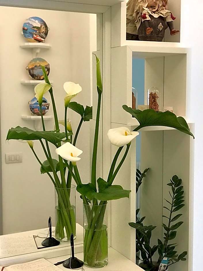 Al Parco Primavera B&B