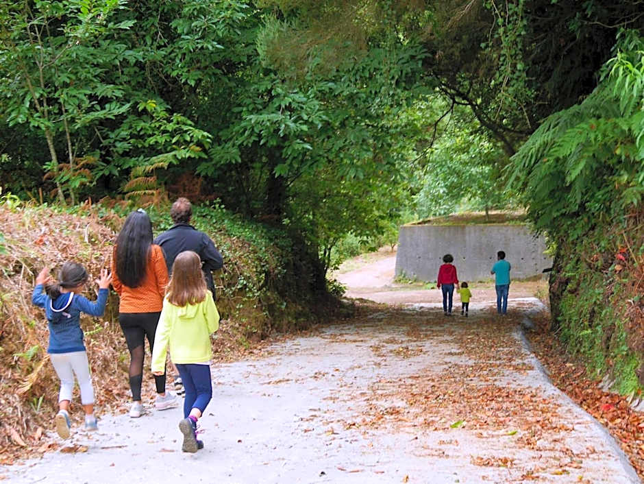 Casinhas da Laurissilva