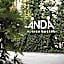 Anda Venice