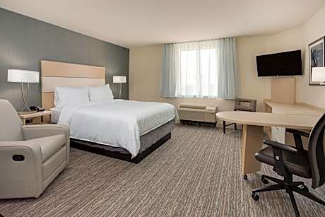 Studio Suite 1 Queen Accessible Roll In Shower Non-Smoking