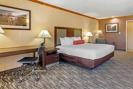 1 KING BED,NSMK,HISPD,REFRIG,MICRWV,46FLTV,CONTINENTAL BREAKFAST