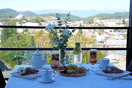 Hotel Panoramic