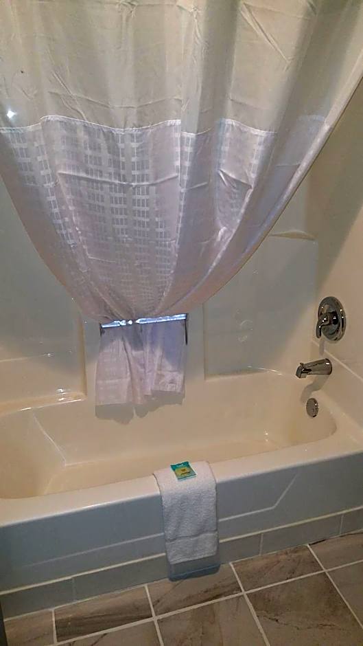 Roosevelt Inn Mount Rushmore