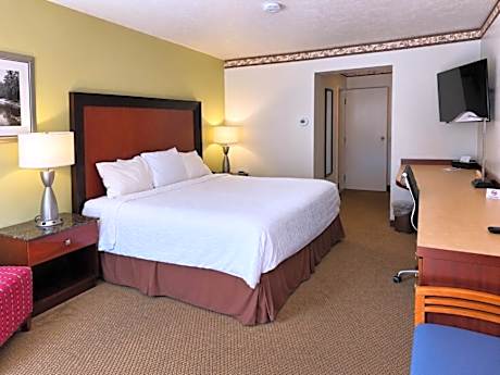 King Room with Twin Sofa Bed