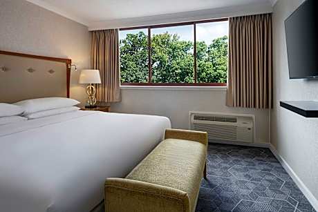 One-Bedroom King Suite with Sofa Bed and Garden View