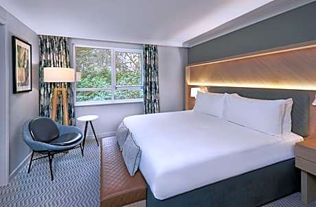 Junior Wellness King Suite