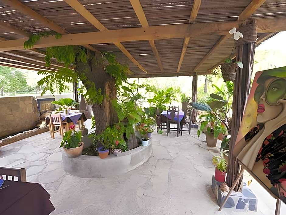 Hotel Villa Mozart y Macondo