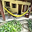 Pousada Cachoeira