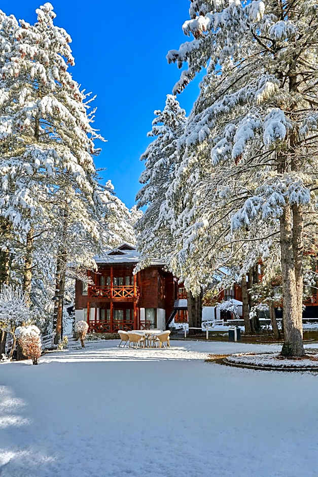 Welcomhotel by ITC Hotels, Pine N Peak, Pahalgam