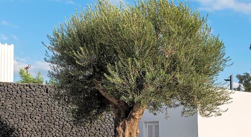 Santa Irina Luxury Sunny Lofts