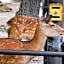 Nara - Hotel / Vacation STAY 47950