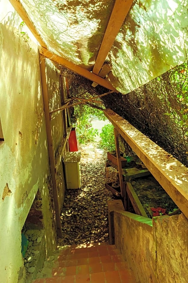 Centro Studi Nuovarmonia