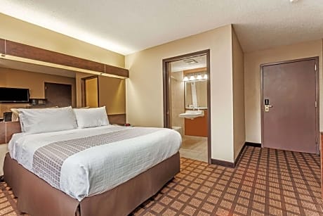 1 Queen Bed Mobility Accessible Room Non-Smoking
