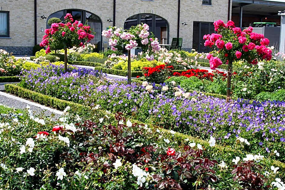 B&B La Vie En Roses