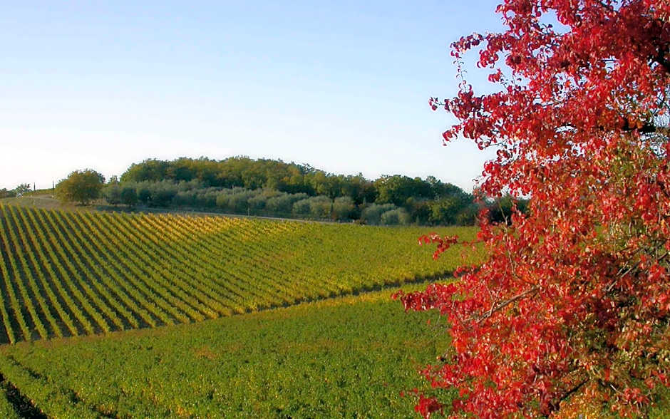 Hotel Villa Casalecchi