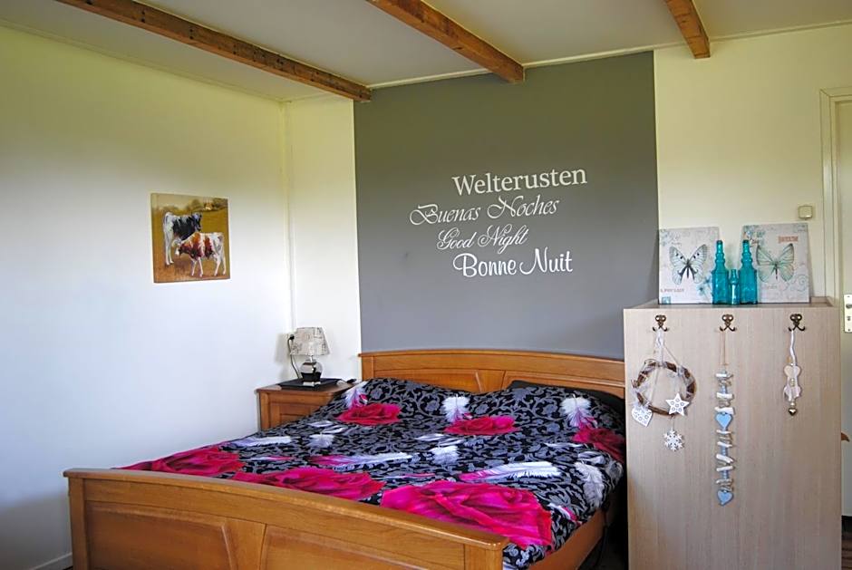 B&B Warnstee